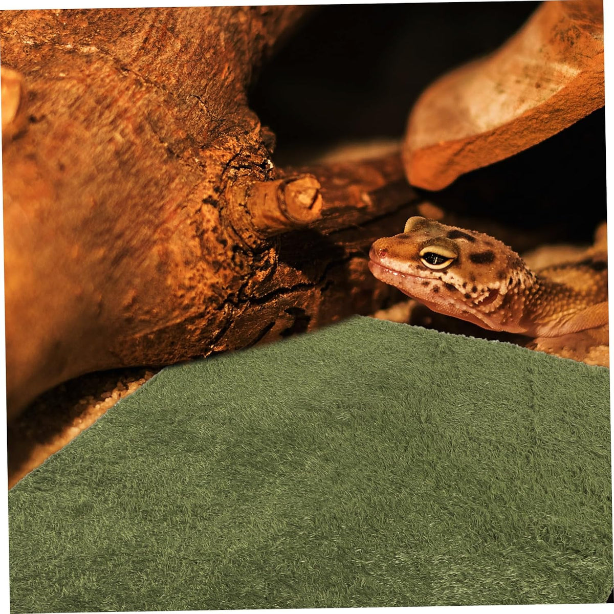 Reptile Mat Lifelike Fake Lawn Carpet for Terrarium Tortoise Bedding and Accessory Reptile Supplies Artificial Grass for Snakes Lizards and Frogs
