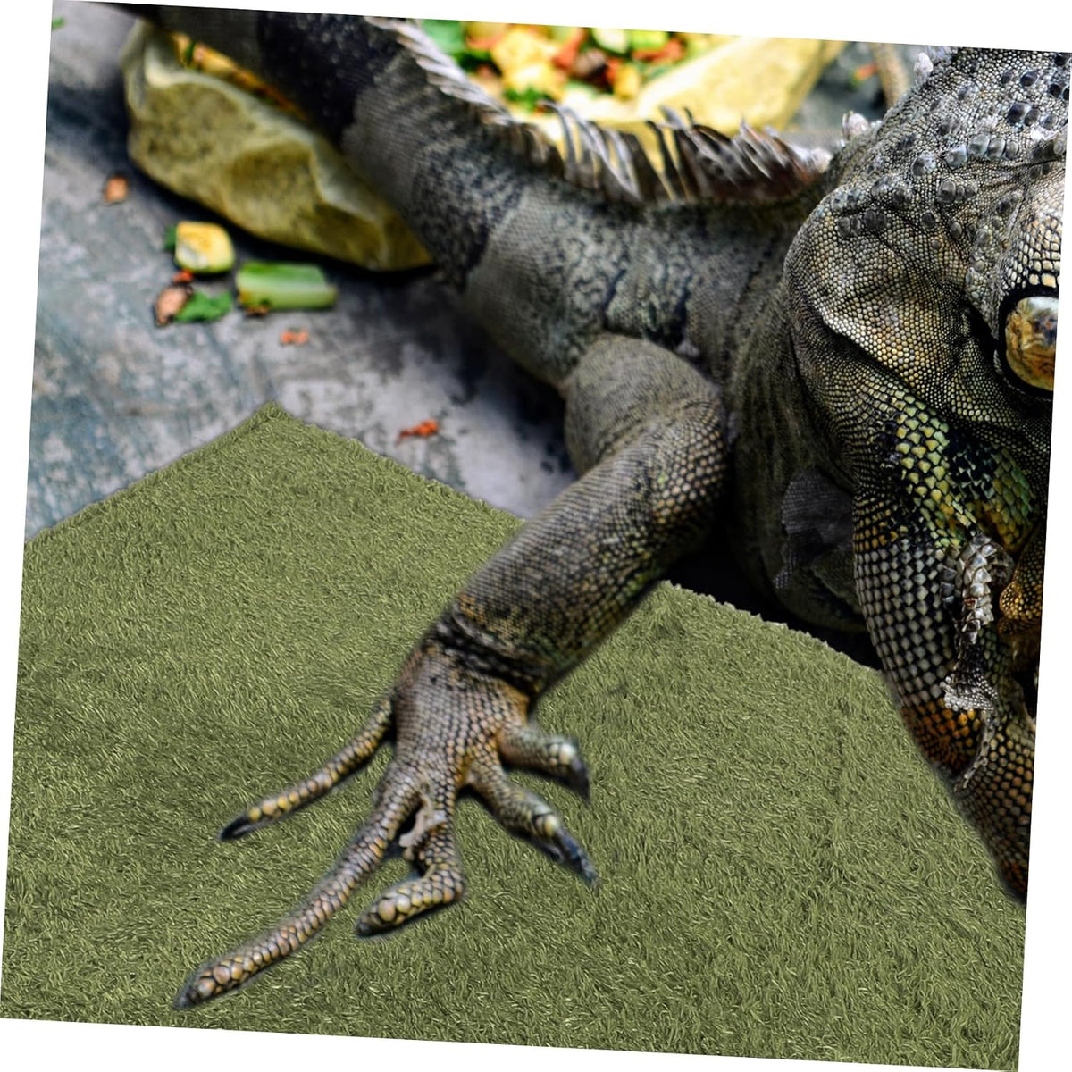 Reptile Mat Lifelike Fake Lawn Carpet for Terrarium Tortoise Bedding and Accessory Reptile Supplies Artificial Grass for Snakes Lizards and Frogs