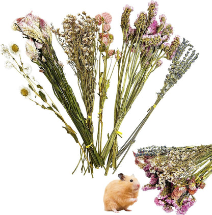 Natural Flower & Herb Hamster Bedding Habitat Decor Guinea Pig Bedding Hamster Sprays Hamster Cage Accessories for Guinea Pig Dwarf Syrian Gerbils Mice Mouse Rat (Flower Version)