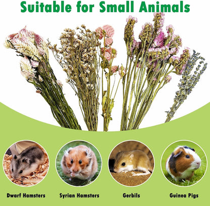 Natural Flower & Herb Hamster Bedding Habitat Decor Guinea Pig Bedding Hamster Sprays Hamster Cage Accessories for Guinea Pig Dwarf Syrian Gerbils Mice Mouse Rat (Flower Version)