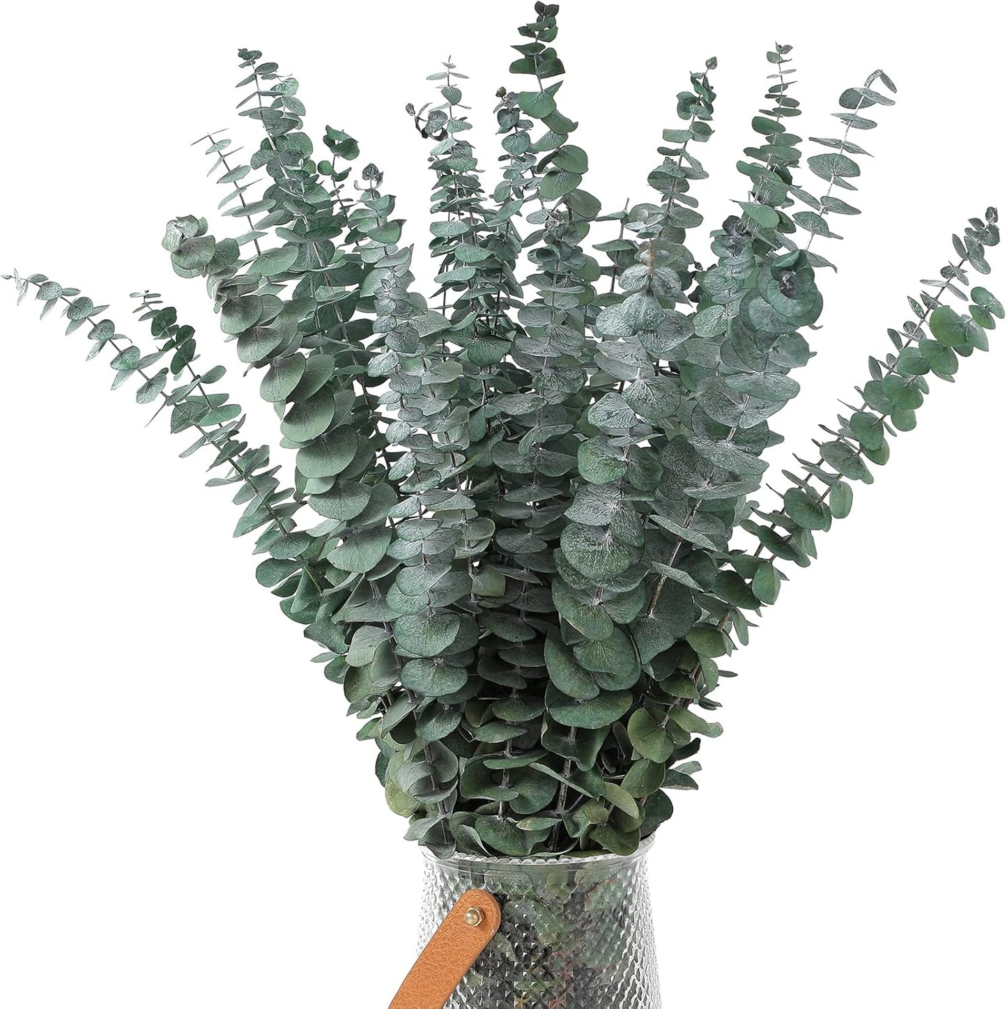 10 Pcs Dried Eucalyptus Stems 17" Real Eucalyptus for Shower Hanging 100% Made from Fresh Leaves, Wedding, Home, Farmhouse, DIY Spring Decor Bathroom Decor Home Decor