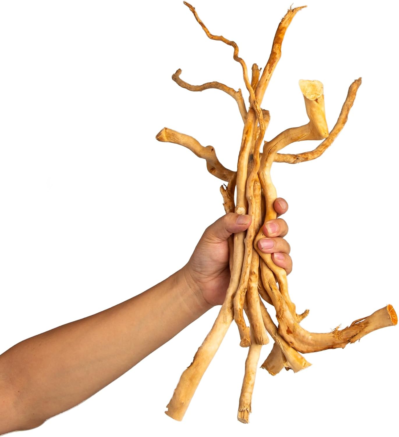 Natural Aquarium Driftwood, [170g] ( 20–40 cm /8–16 in) - Unique Root/Spider Wood Branches for Aquascaping, Planted Tanks & Terrariums, Fish & Plants Decoration, Each Piece One-of-a-Kind (Roots Only)