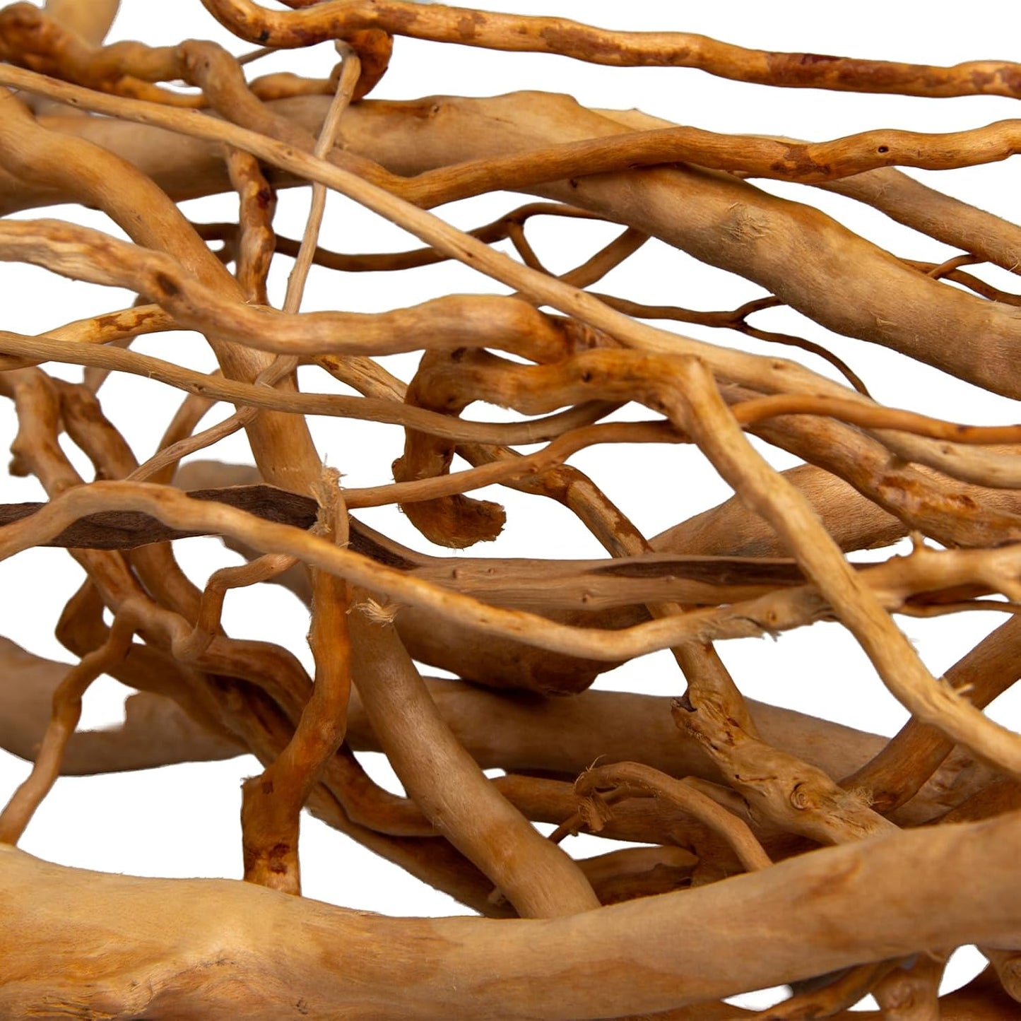 Natural Aquarium Driftwood, [170g] ( 20–40 cm /8–16 in) - Unique Root/Spider Wood Branches for Aquascaping, Planted Tanks & Terrariums, Fish & Plants Decoration, Each Piece One-of-a-Kind (Roots Only)