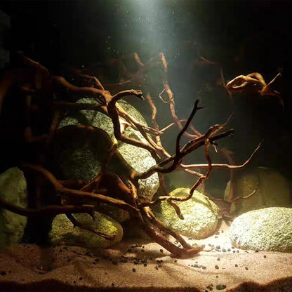 Natural Aquarium Driftwood, [170g] ( 20–40 cm /8–16 in) - Unique Root/Spider Wood Branches for Aquascaping, Planted Tanks & Terrariums, Fish & Plants Decoration, Each Piece One-of-a-Kind (Roots Only)