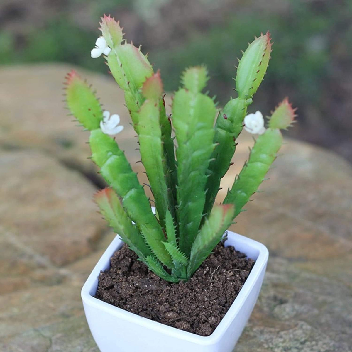 2pcs Real Looking Artificial Cactus Artificial Cacti Plant DIY Material for Home Decoration Flower Arrangement