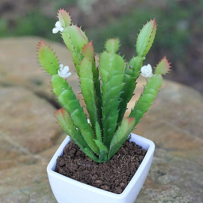 2pcs Real Looking Artificial Cactus Artificial Cacti Plant DIY Material for Home Decoration Flower Arrangement