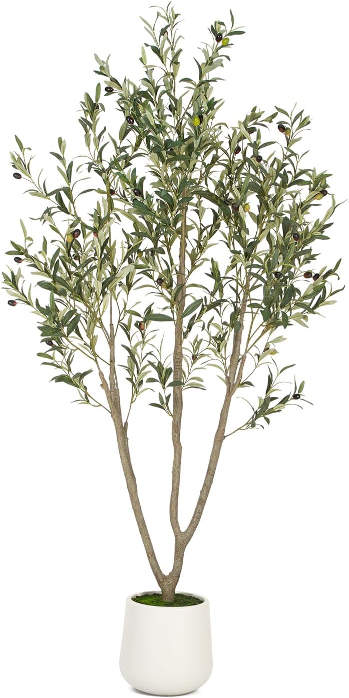 VIVATREES Olive Trees Artificial Indoor, 7FT Tall Faux Olive Tree with White Tall Planter, Artificial Plants with Natural Wood Trunk and Lifelike Fruits for Home Office Decor