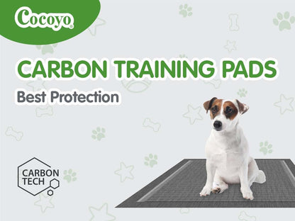 Best Value Training Pads 30 Count | Dog Pee Pads | Super Absorbent Puppy Pads