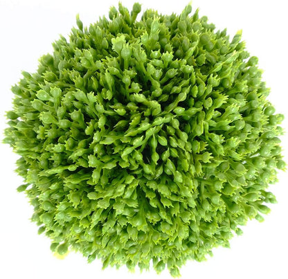 3.5 Inch Boxwood Balls Artificial Greenery Balls Decorative, Bowl Filler,Set of 3 Moss Balls Decorative