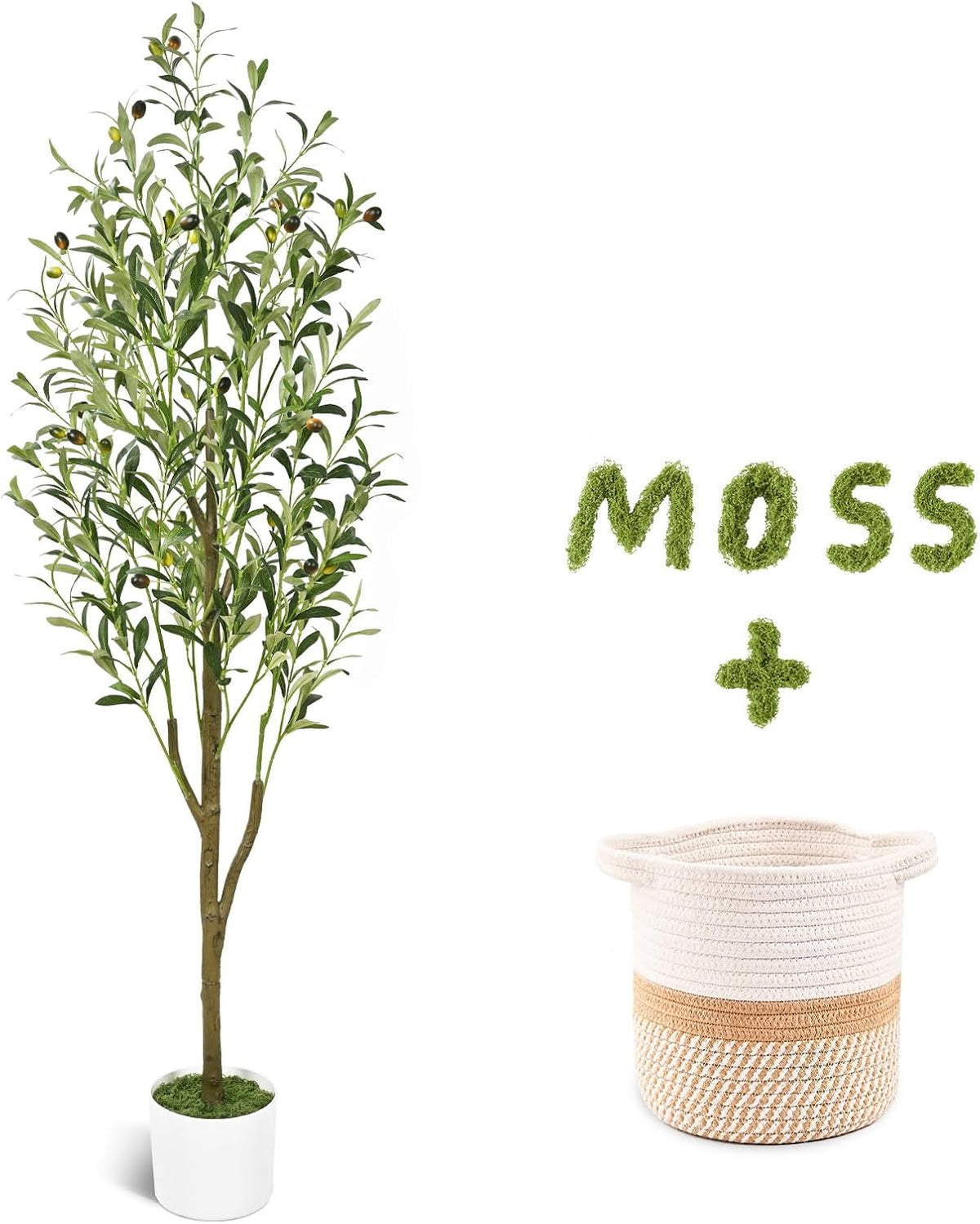 6FT Artificial Olive Tree Indoor Tall Faux with Planter & Basket | Large Fake Olive Silk Trees Realistic Olive Plants with Branches and Fruits for Office Decor Home Living Room