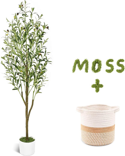 6FT Artificial Olive Tree Indoor Tall Faux with Planter & Basket | Large Fake Olive Silk Trees Realistic Olive Plants with Branches and Fruits for Office Decor Home Living Room