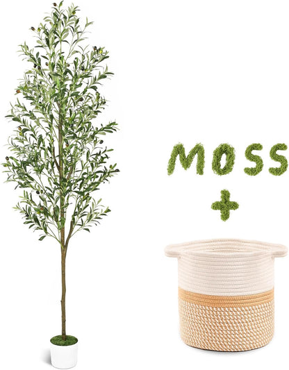 6FT Artificial Olive Tree Indoor Tall Faux with Planter & Basket | Large Fake Olive Silk Trees Realistic Olive Plants with Branches and Fruits for Office Decor Home Living Room
