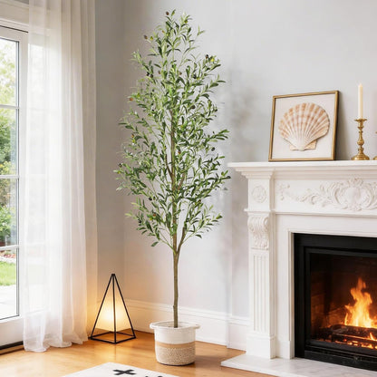 6FT Artificial Olive Tree Indoor Tall Faux with Planter & Basket | Large Fake Olive Silk Trees Realistic Olive Plants with Branches and Fruits for Office Decor Home Living Room