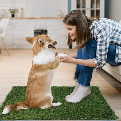 2 Pack Artificial Dog Grass Pee Pad 20"x 25", Fake Grass Pad for Dogs Tray