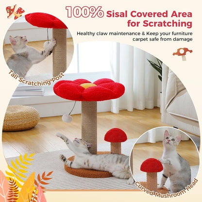 Mushroom Cat Scratcher with Flower Cat Bed, Post for Kittens, Pink