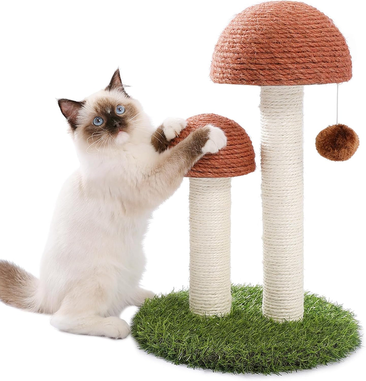 Mushroom Cat Scratcher with Flower Cat Bed, Post for Kittens, Pink