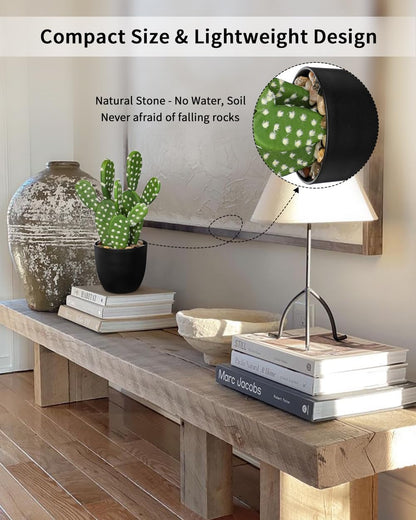 Artificial Cactus Plants 10.8" Small Faux Cactus Plants Indoor Fake Desert Cacti Succulents Plants Artificial Plant Indoor with Pot Cactus Decorations for Home Decor Office Desk Tabletop Shelf