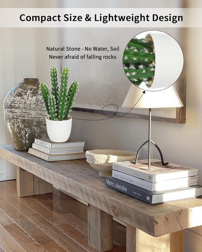Artificial Cactus Plants 10.8" Small Faux Cactus Plants Indoor Fake Desert Cacti Succulents Plants Artificial Plant Indoor with Pot Cactus Decorations for Home Decor Office Desk Tabletop Shelf
