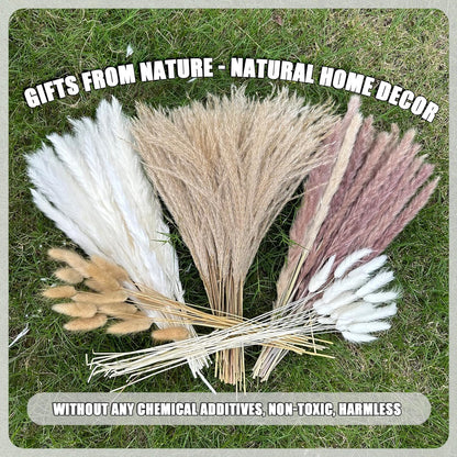 Pampas Grass Decor 110 pcs 17.5inch Natural Dried Pampas Grass-15Pcs White Pampas & 15Pcs Brown Pampas & 50Pcs Reed Grass& 30Pcs Bunny Tail Grass,Fluffy Dried Flowers for Home Decor Wedding Boho Decor