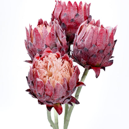 4 Pack Artificial King Protea Flowers, Tropic, Wedding Centerpiece