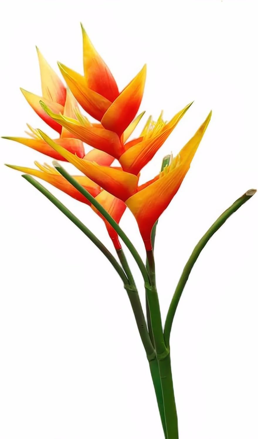 Artificial Heliconia 33.5" Long Stem Latex Faux Bird of Paradise Fake Tropical Flowers for Vase Bouquets Home Office Wedding Decor(Orange)