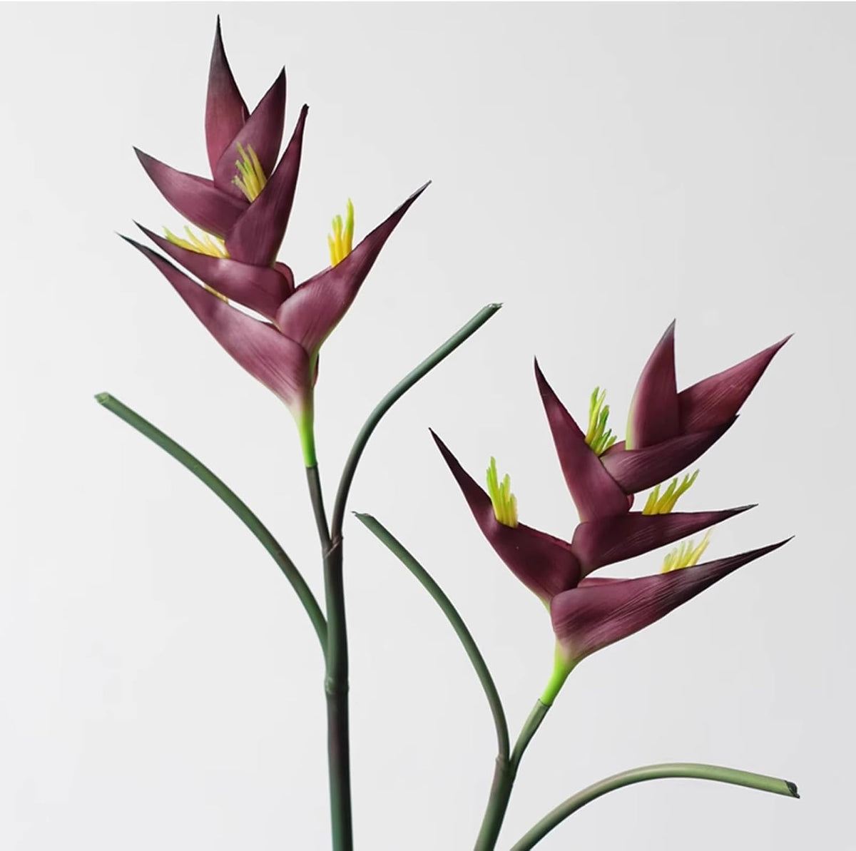 Artificial Heliconia 33.5" Long Stem Latex Faux Bird of Paradise Fake Tropical Flowers for Vase Bouquets Home Office Wedding Decor(Orange)