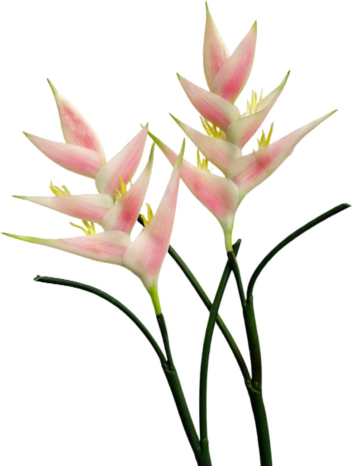 Artificial Heliconia 33.5" Long Stem Latex Faux Bird of Paradise Fake Tropical Flowers for Vase Bouquets Home Office Wedding Decor(Orange)