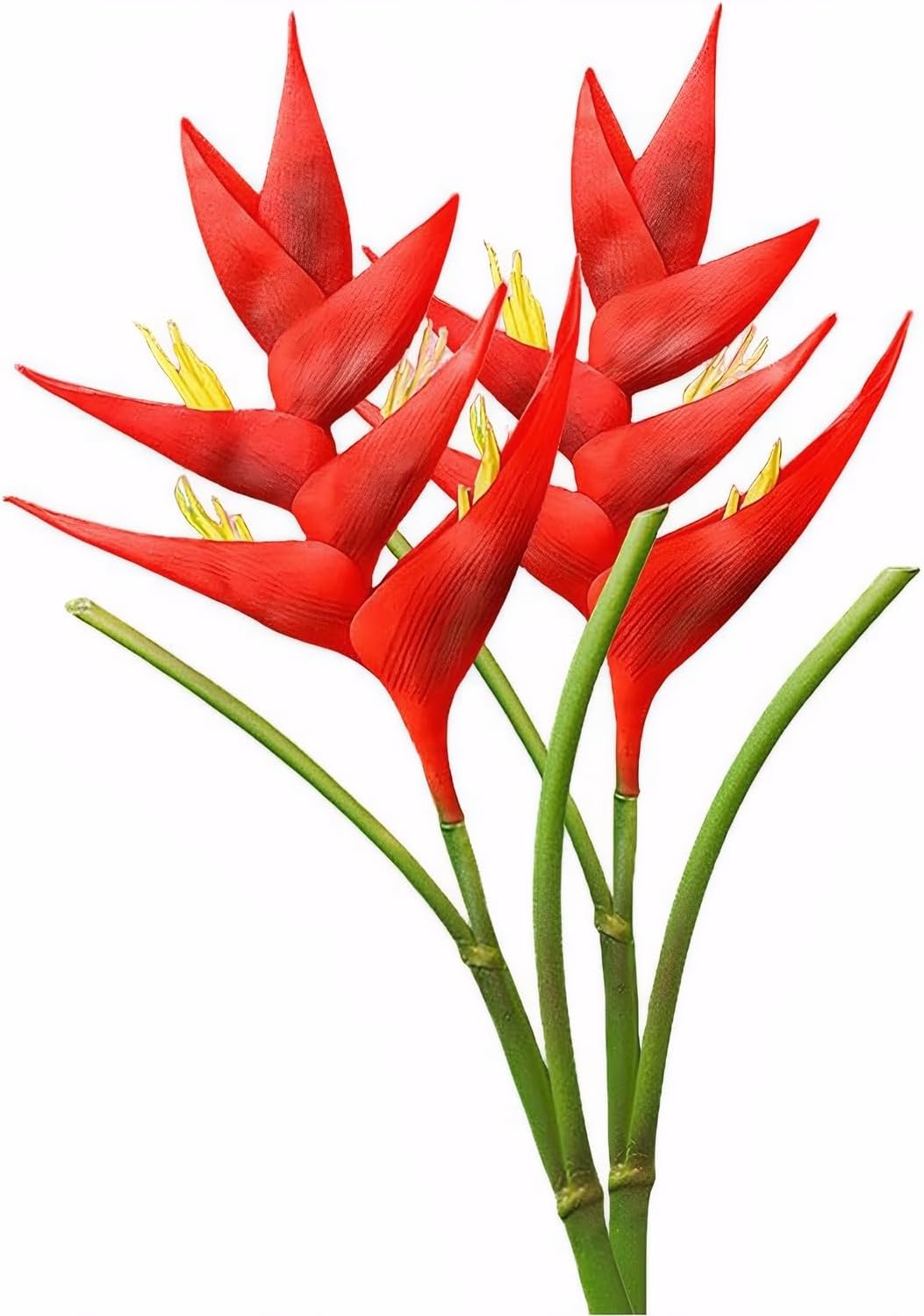 Artificial Heliconia 33.5" Long Stem Latex Faux Bird of Paradise Fake Tropical Flowers for Vase Bouquets Home Office Wedding Decor(Orange)