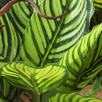 Reptile Terrarium Plants - Tortoise Habitat Accessories, Artificial Spider Plant for Gecko, Ball Python - Calathea Makoyana A