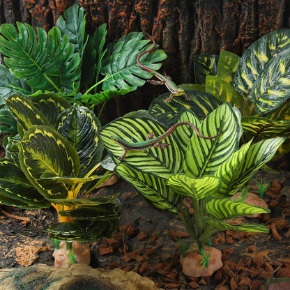 Reptile Terrarium Plants - Tortoise Habitat Accessories, Artificial Spider Plant for Gecko, Ball Python - Calathea Makoyana A