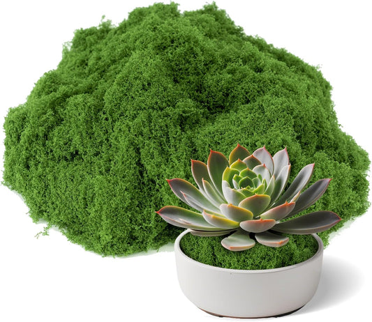 Fake Green Moss for Potted Plants Indoor, 3.5 OZ Artificial Moss for Crafts, Decorative Faux Grass for Fairy Garden, DIY Table Centerpieces, Model Making, Wedding Floral Decor, Terrarium & Home Decor