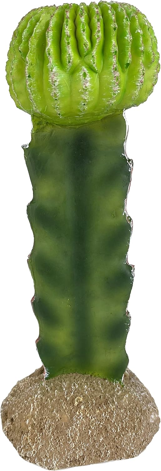 48593325: Komodo Cactus Plant Moon, 7.5In