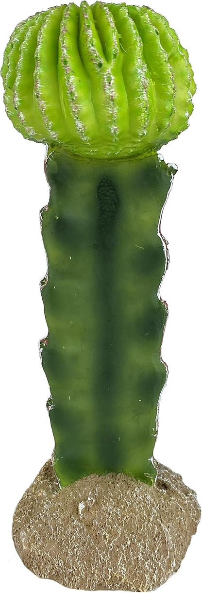 48593325: Komodo Cactus Plant Moon, 7.5In