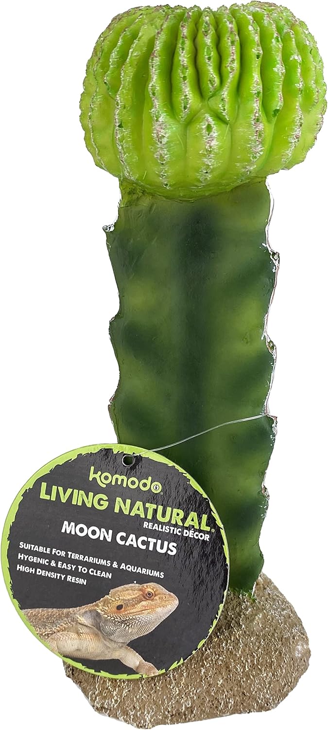 48593325: Komodo Cactus Plant Moon, 7.5In