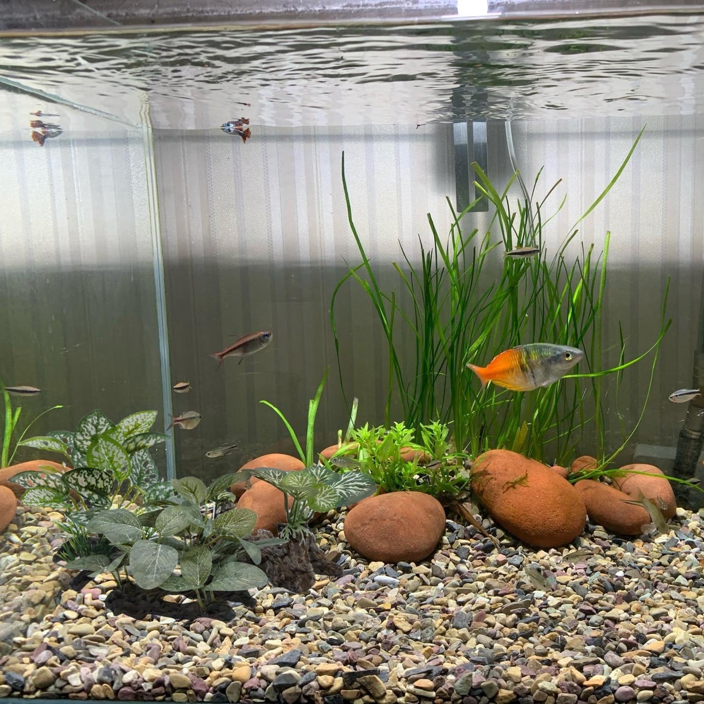 Artificial Fish Tank Plants Aquarium Plant Aquatic Water Grass Foreground Decor (1PC Green)