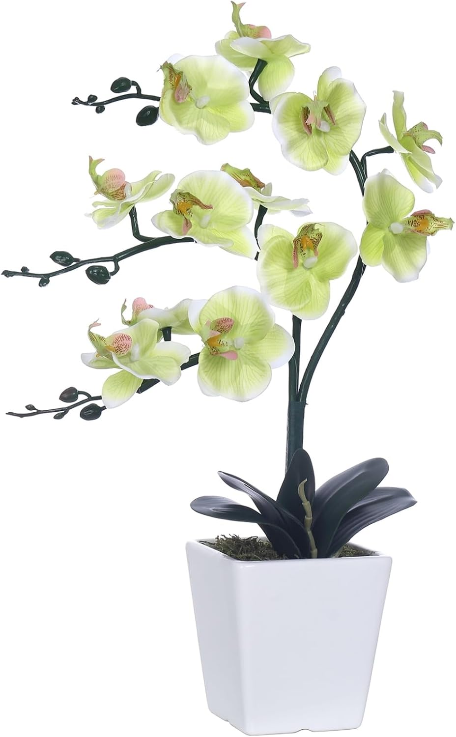 15" Silk Phalaenopsis Orchid in Square Pot, Orange Flower Plant Arrangement