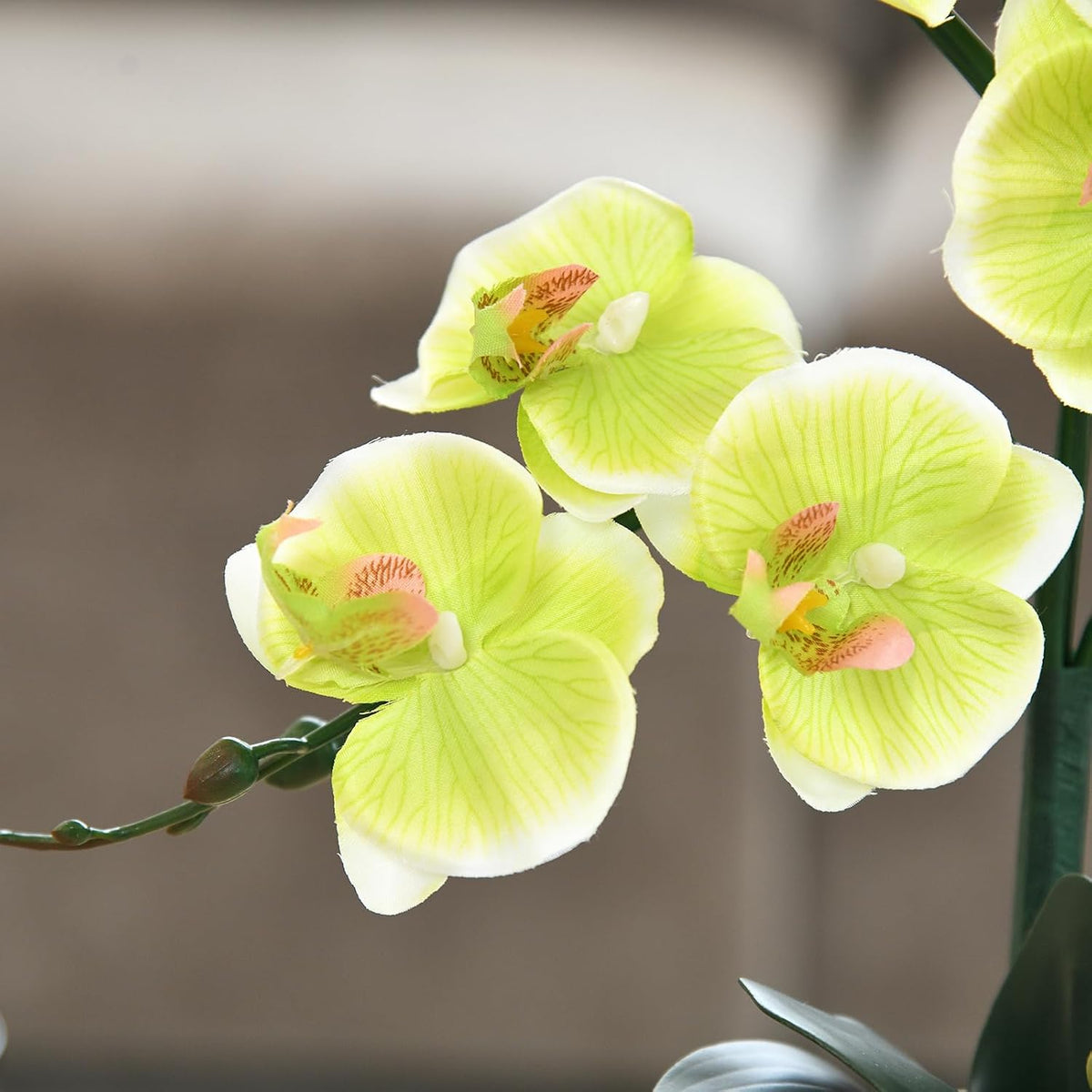 15" Silk Phalaenopsis Orchid in Square Pot, Orange Flower Plant Arrangement