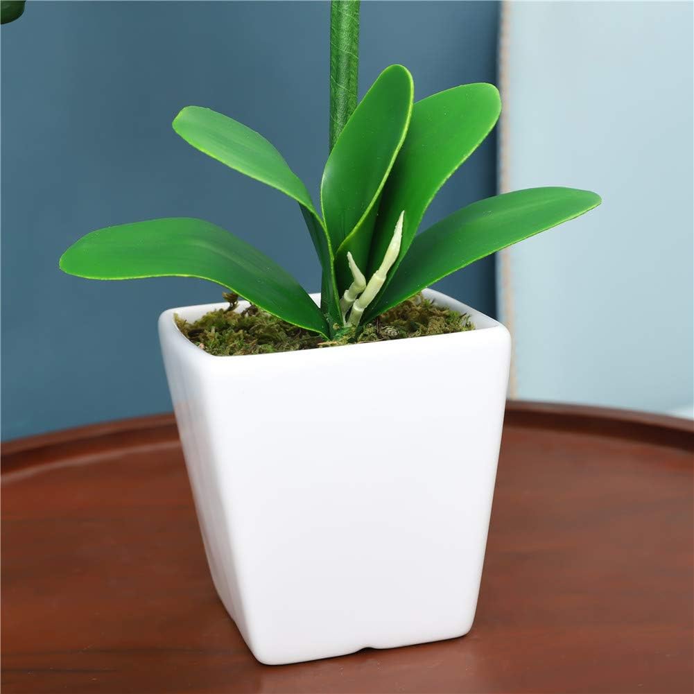 15" Silk Phalaenopsis Orchid in Square Pot, Orange Flower Plant Arrangement