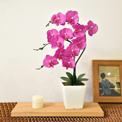 15" Silk Phalaenopsis Orchid in Square Pot, Orange Flower Plant Arrangement