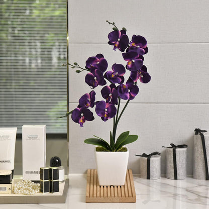 15" Silk Phalaenopsis Orchid in Square Pot, Orange Flower Plant Arrangement