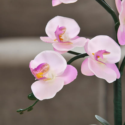 15" Silk Phalaenopsis Orchid in Square Pot, Orange Flower Plant Arrangement