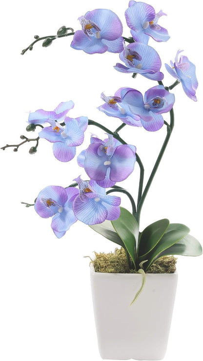 15" Silk Phalaenopsis Orchid in Square Pot, Orange Flower Plant Arrangement