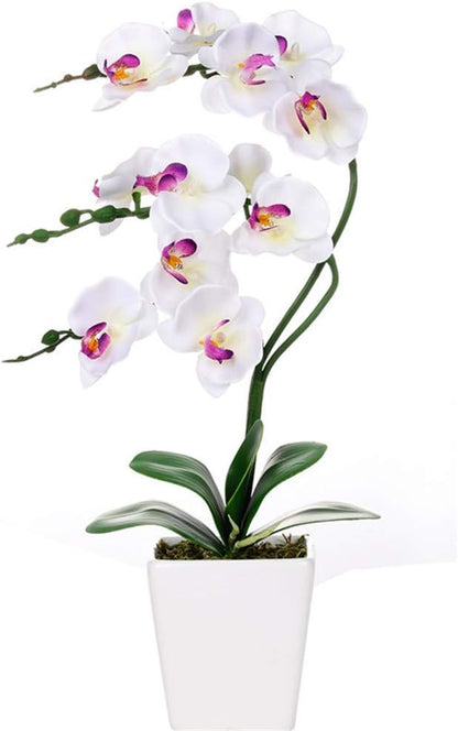 15" Silk Phalaenopsis Orchid in Square Pot, Orange Flower Plant Arrangement