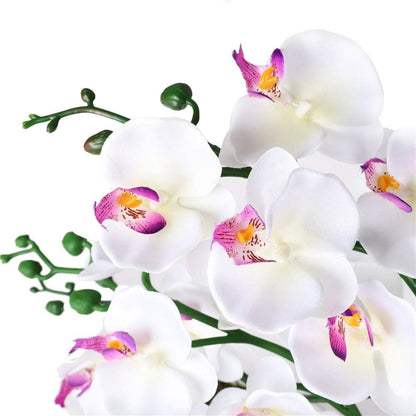 15" Silk Phalaenopsis Orchid in Square Pot, Orange Flower Plant Arrangement