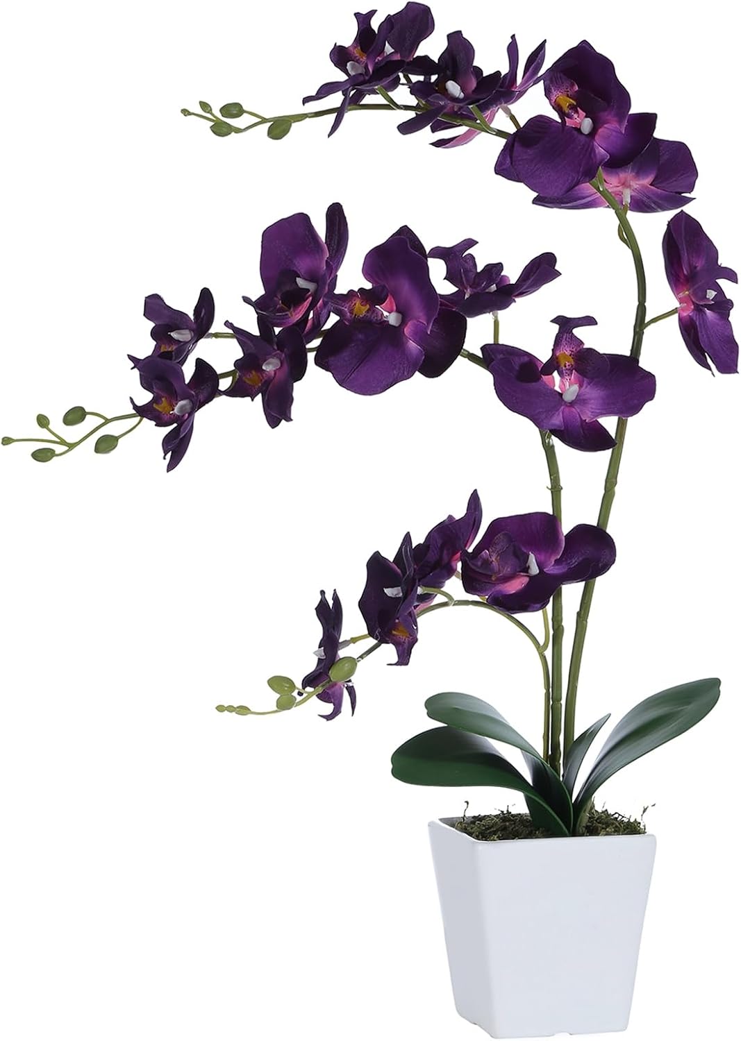 15" Silk Phalaenopsis Orchid in Square Pot, Orange Flower Plant Arrangement