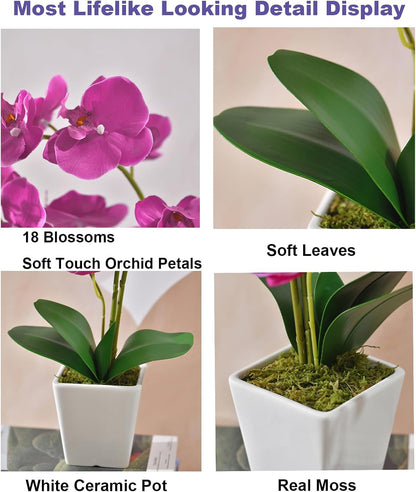15" Silk Phalaenopsis Orchid in Square Pot, Orange Flower Plant Arrangement