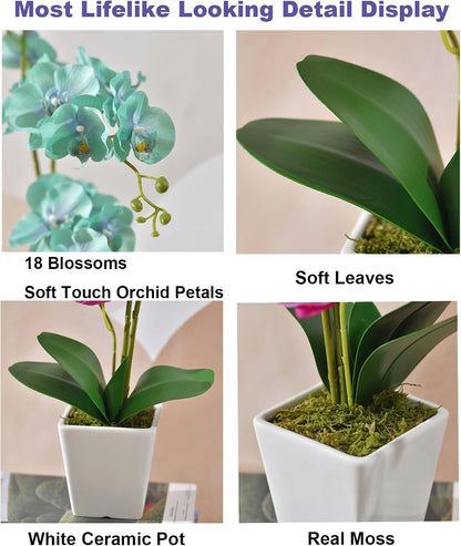 15" Silk Phalaenopsis Orchid in Square Pot, Orange Flower Plant Arrangement