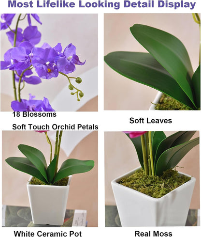15" Silk Phalaenopsis Orchid in Square Pot, Orange Flower Plant Arrangement