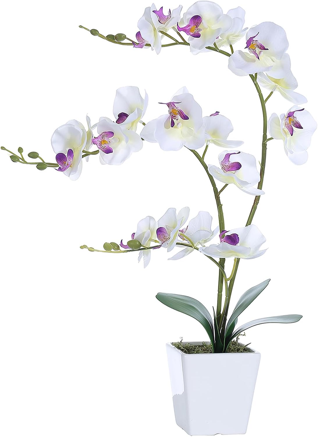 15" Silk Phalaenopsis Orchid in Square Pot, Orange Flower Plant Arrangement