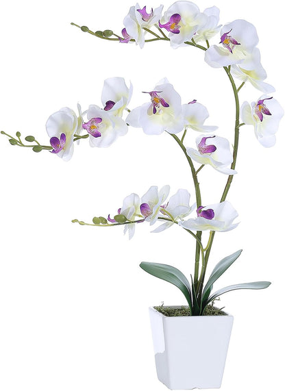 15" Silk Phalaenopsis Orchid in Square Pot, Orange Flower Plant Arrangement